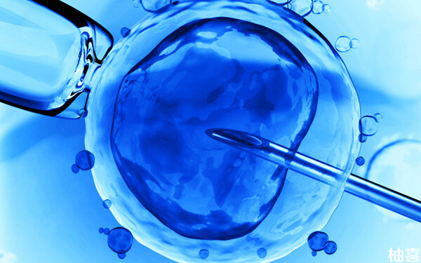 人工周期方案用药后最晚多久可以移植冻胚？