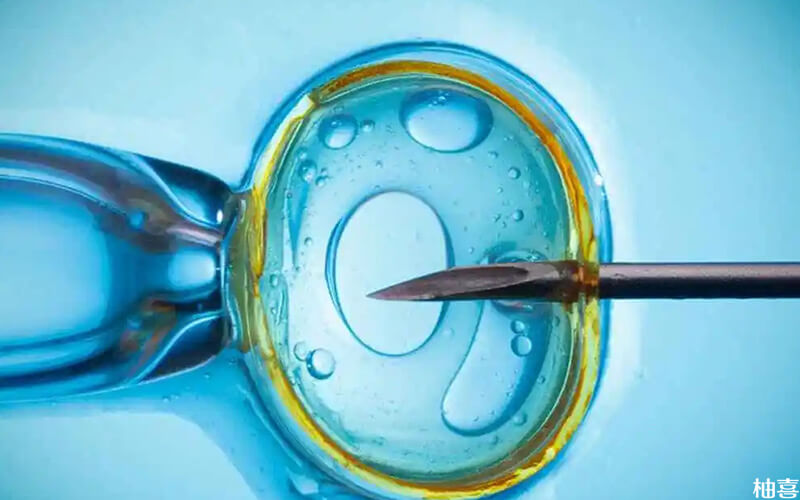 人工周期移植鲜胚要内膜达标才行