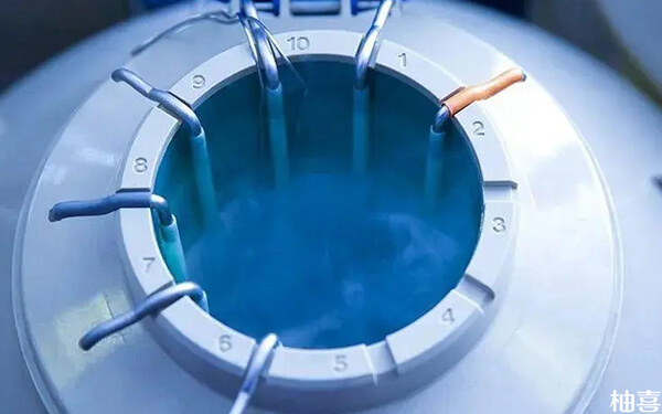 试管移植后剩余的胚胎可以转移到其他医院冷冻保存吗？