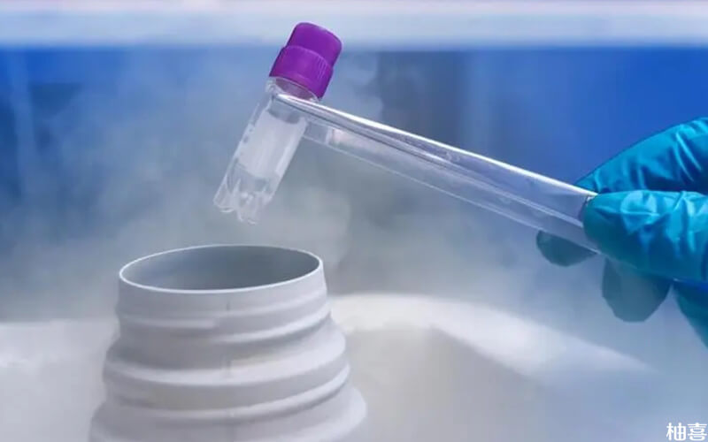 冷冻胚胎需在零下196摄氏度保存