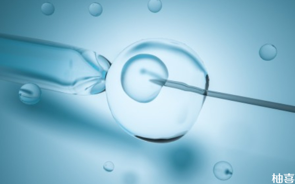 为什么三代试管移植胚胎第二天不会从宫腔里面掉出来？