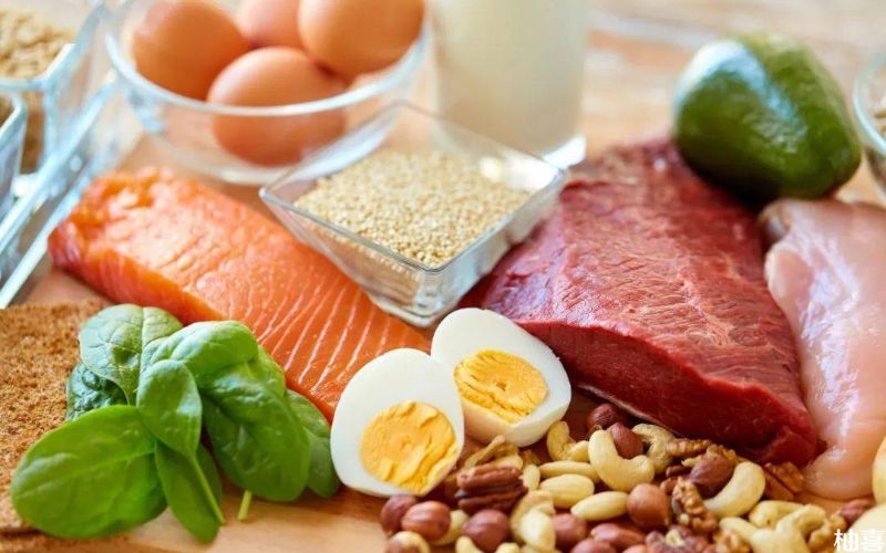 多吃富含蛋白质食物有助于身体恢复