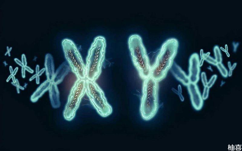 染色体以单位增减是整倍体