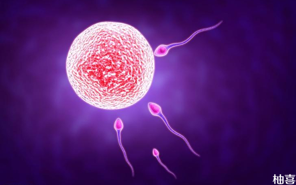 新鲜胚胎移植19天怀双胎的hcg正常值参考范围是多少？