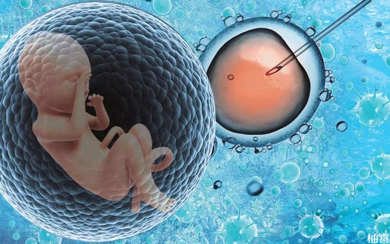 胚胎短期会处于游离状态