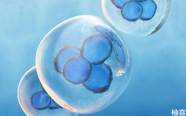 移植冷冻胚胎D3复苏细胞数多少算正常？