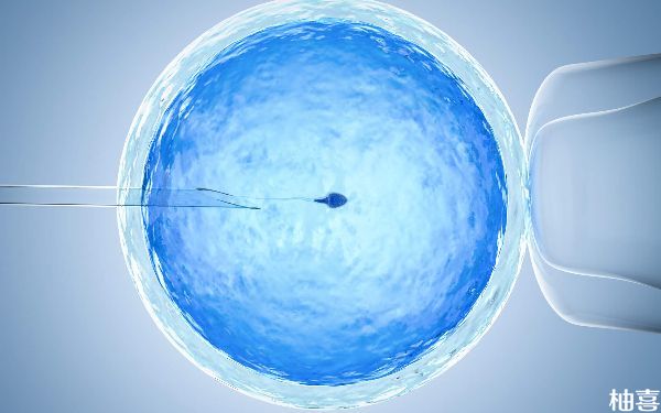 囊胚6BB与4AB哪个等级好且移植后成功率高？