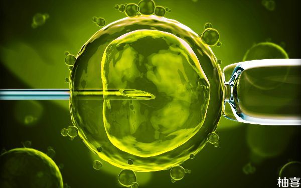 6天囊胚定好移植方案后最快几天可以移植冻胚？