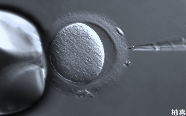 着床位置与时间早晚能看出胚胎质量好坏吗？