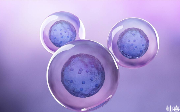 囊胚移植72小时后胚胎在体内的状况是怎么样？