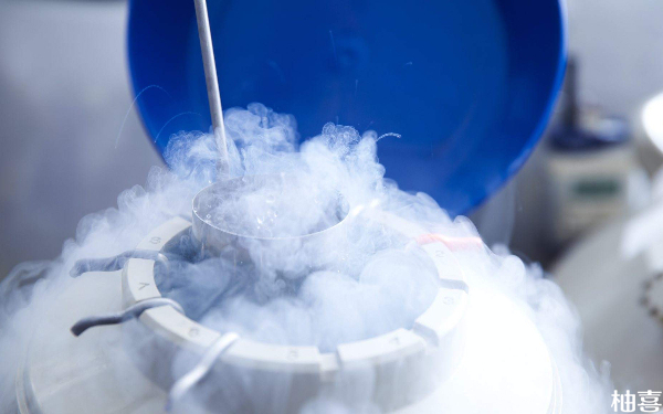 有冻胚解冻移植单个做一次手术就成功的例子吗？