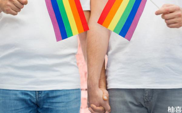 国内未来二十年内有可能实现同性婚姻保护法吗？
