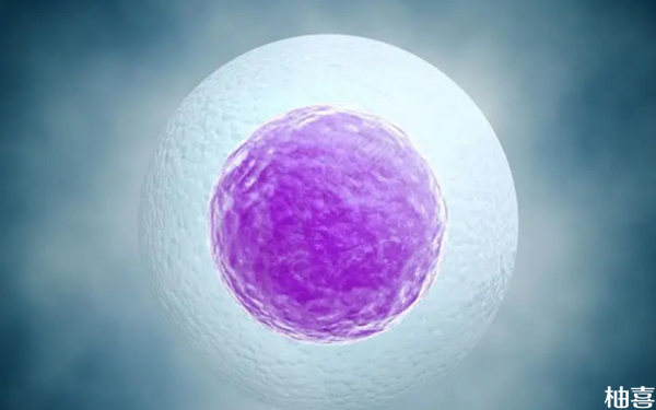 三代试管失败只有一个4bb冻囊胚胎能二次移植吗？