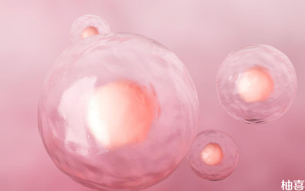 胚胎解冻复苏一天8细胞没降级也没有融合正常吗？