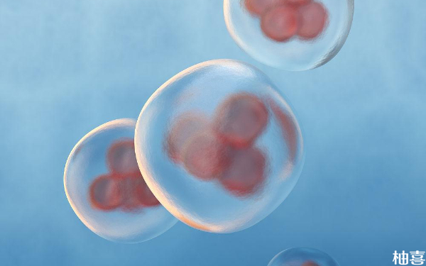 二胎想生龙凤胎移植冻胚一次放几个胚胎好？