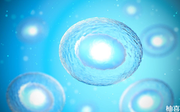 一代试管移植胚胎10c3是什么意思？
