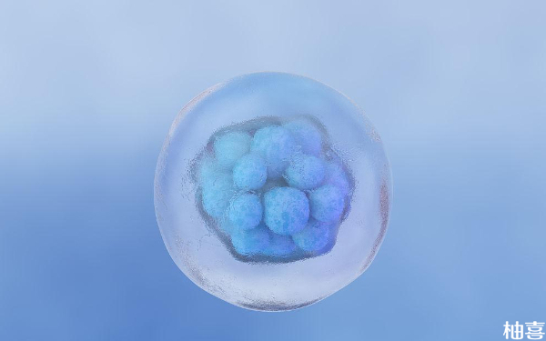 一级优质胚胎会存在3号染色体缺陷问题吗？
