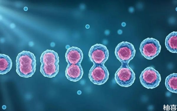 二级8细胞优质胚胎解冻复苏后不长了是怎么回事？