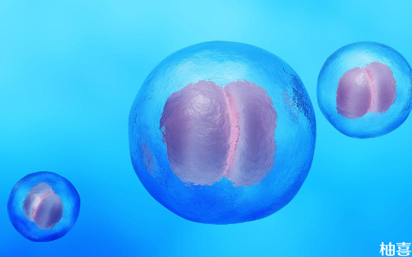 5cb的囊胚质量怎么样，是什么级别的？