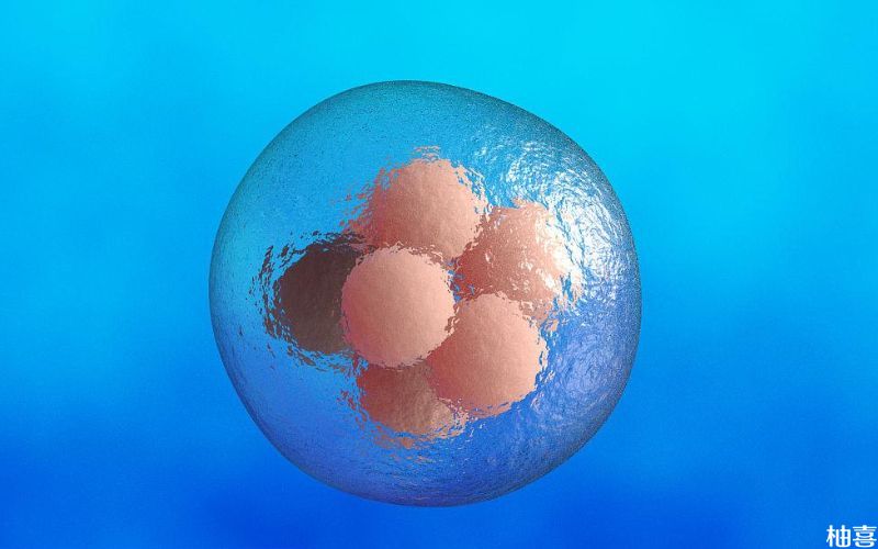 移植质量差的胚胎试管会失败