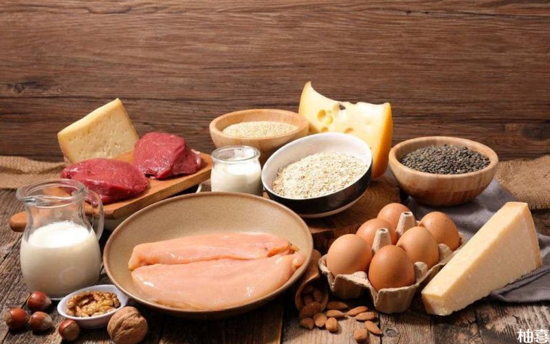 蛋白质食物可帮助身体恢复健康
