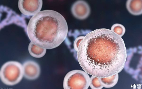 3天新鲜胚胎发育缓慢继续培养还能长成囊胚吗？