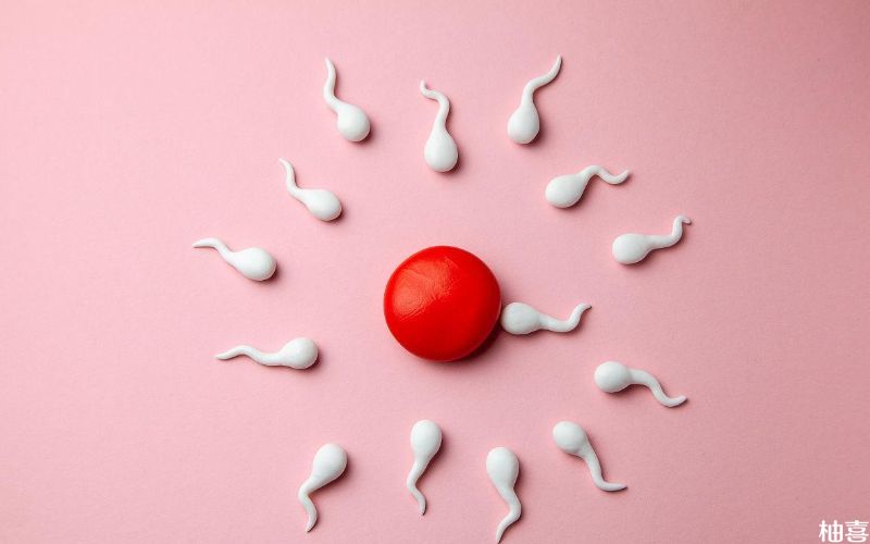 精子质量差影响备孕