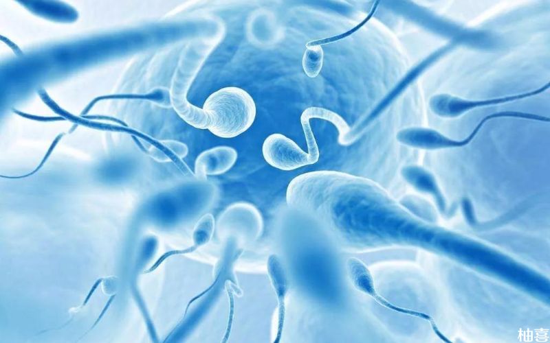 精子活力低影响备孕