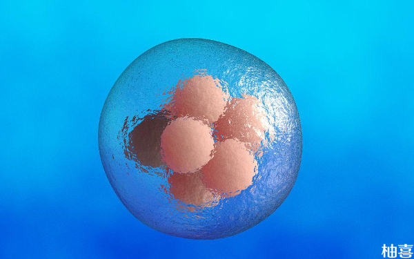 5bb和4bb的囊胚质量哪个好点？发育程度如何？