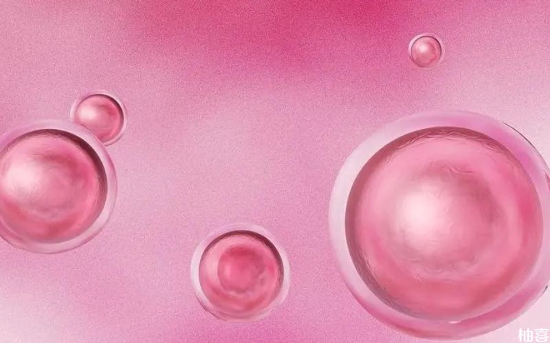 移植胚胎后可抽血验孕