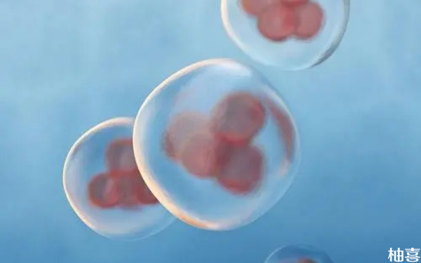 胚胎养囊后在进行染色体检查前一般怎么保存？