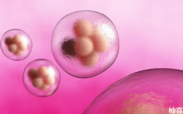 自然周期方案雌激素达到多少ng/ml可以移植鲜胚？