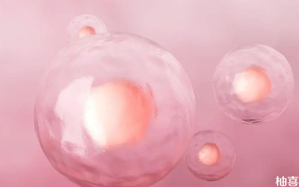 实验室解冻复苏后的冷冻胚胎13细胞和7细胞哪个好？