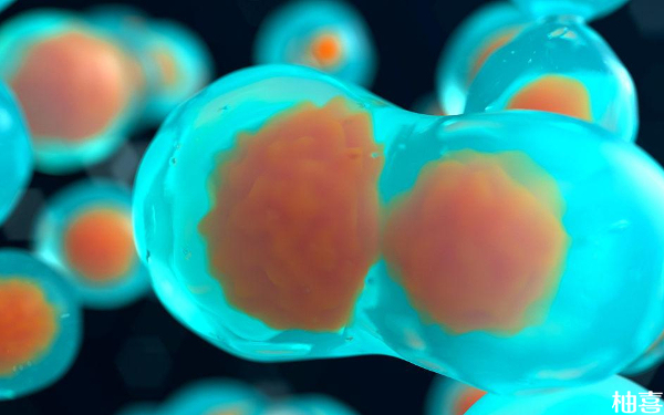 实验室养囊的胚胎等级差碎片化程度高还有必要移植吗？