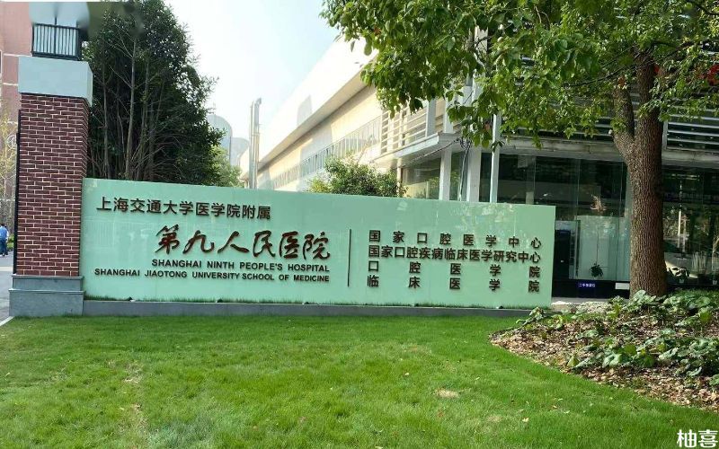 上海市第九人民医院可做试管