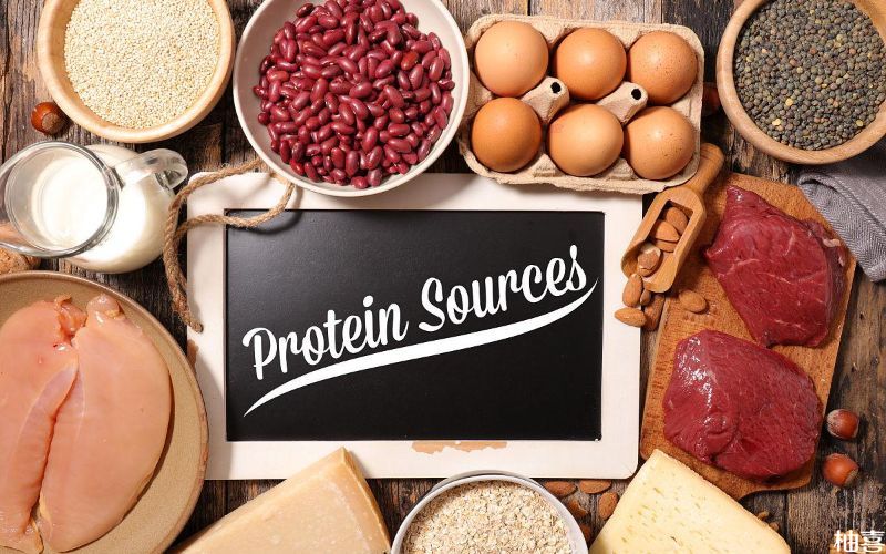 蛋白质食物可以增加机体免疫力