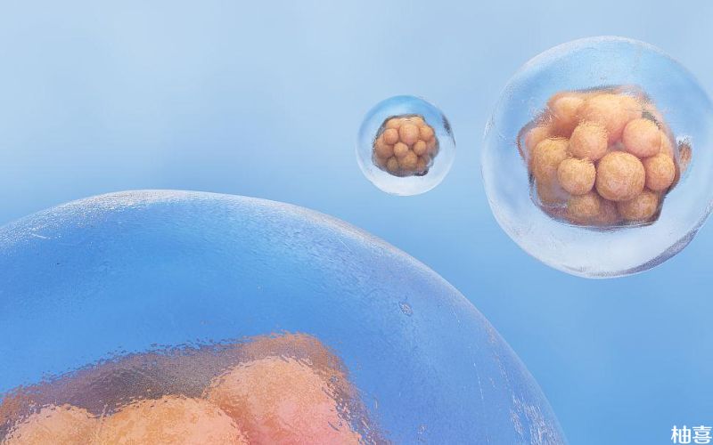 胚胎透明带厚不能移植