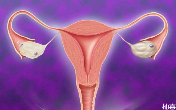 弓形子宫移植一枚4aa囊胚能妊娠成功吗？