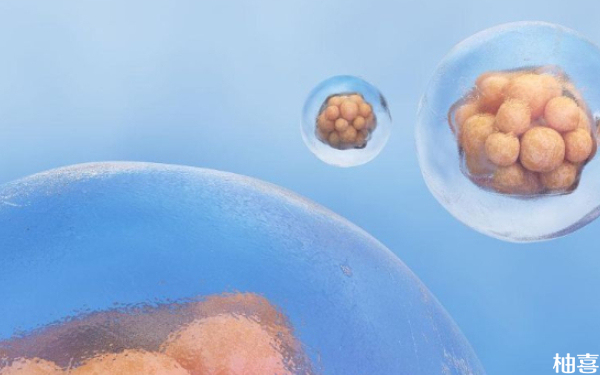 放2个4ab优质囊胚什么时候知道怀了几个宝宝？