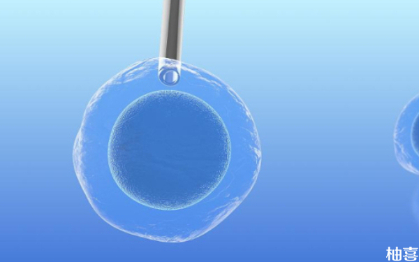 试管取卵后仅培育出一枚三级胚胎且碎片率高合适移植吗？