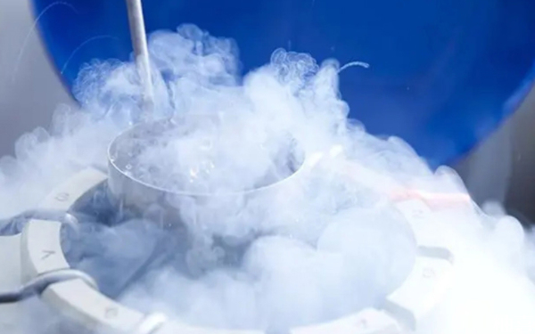 北京朝阳医院二代试管婴儿移植冻胚费用多少？