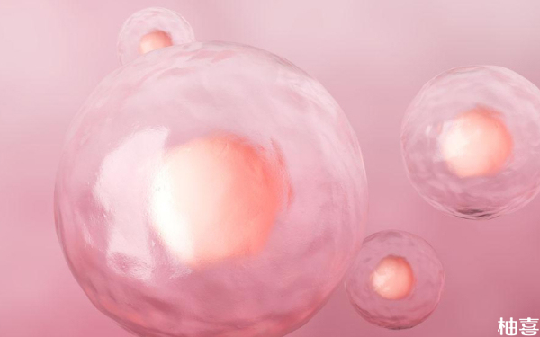 北大医院取卵后移植鲜胚成功率高吗？