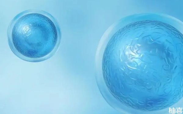 2024北京朝阳医院一代试管移植鲜胚多少钱？
