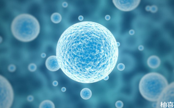 天津医科大学第二医院试管胚胎培养多少钱？