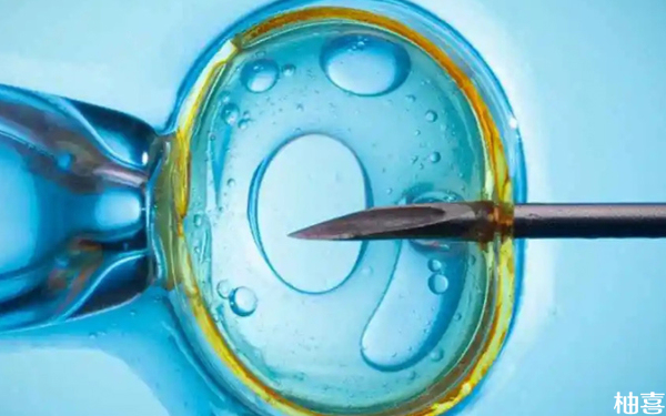 306医院生殖中心试管移植囊胚有成功的吗？