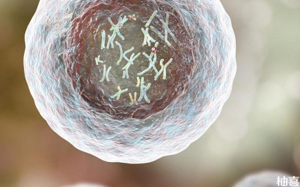 北京东方医院促排挂什么号？