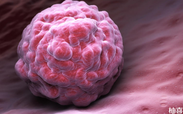 天津医科大学第二医院宫腔镜专家哪个好？