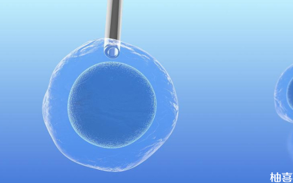 天津医科大总医院一代试管胚胎培养多少钱？