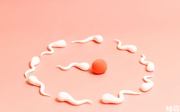 2024上海和平妇保院一代试管多少钱？