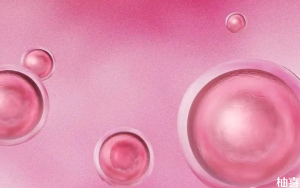 上海和平妇保院三代试管胚胎培养多少钱？